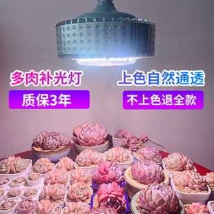 ���Ͳ�������a��� ������ɫ��ͽ�҃Ȼ��� �Gֲ���L������ȫ���V