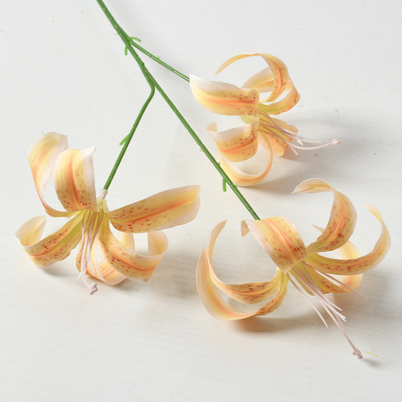 Amarillo Lirio Dorado