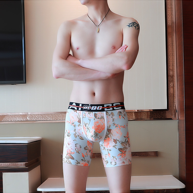 Aibc Men's Underwear Boxer Briefs Long Boxer Low Waist Printed Tendon New Casual Fashion 022-Dpj