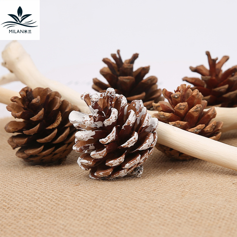 Flor de pino natural flores perpetuas de algodón flores secas árbol de navidad decoración accesorios ramo de navidad hechos a mano DIY material paquete