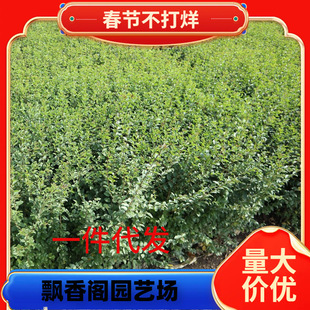 һ�����lС�~Ůؑ�ļ����಻���~�����G�h�����eҰ���~Ůؑ�^�~��