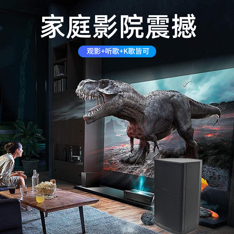 12 pulgadas altavoces de sala de canto KTV sala de conferencias de sonido de cine en casa sala de conferencias de la escuela