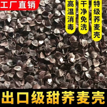 ���^����� �ڿ��w���� �w���� �ɚ��ʸ� �Ƀ��o�s �����l