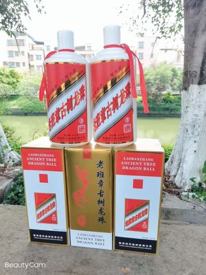 勐海普洱茶古树生茶老班章龙珠2021年头春头采600克 普洱茶坨批发|ms