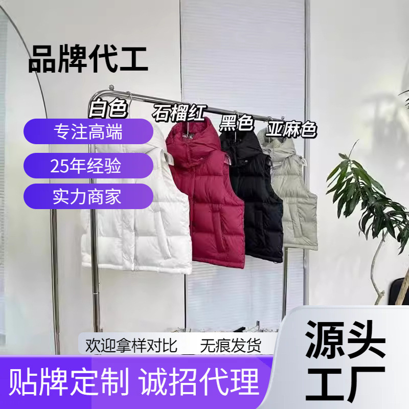 Putian High Edition Lulu Vest Down Jacket Waistcoat Women's Puff Sleeveless Short Vest Bread Suit Jacket Coat Putian High Edition Lulu Vest Down Jacket Waistcoat Women's Puff Sleeveless Short Vest Bread Suit Jacket Coat