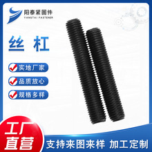 定制 各种材质高强度螺杆 100mm-6000mm全螺纹螺柱加工厂家