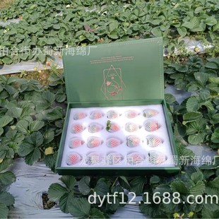 Strawberry Sponge Packaging/Strawberry Buffer Sponge Packaging/Strawberry Loss Prevention Sponge Packaging Strawberry Sponge Inner Tray