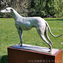 ���：�����͹���Ȯ��Ф���T�~��������Ȯ���T�����⾰�^���~����