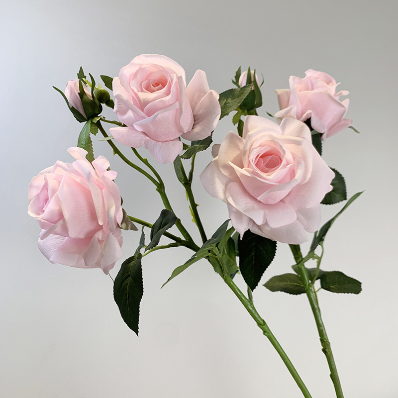 Reprehenderit qui in ea