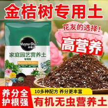 ��ۘ�I�B�� ͨ���͌���������͸��ֲ�����Ի��ܷNֲ��