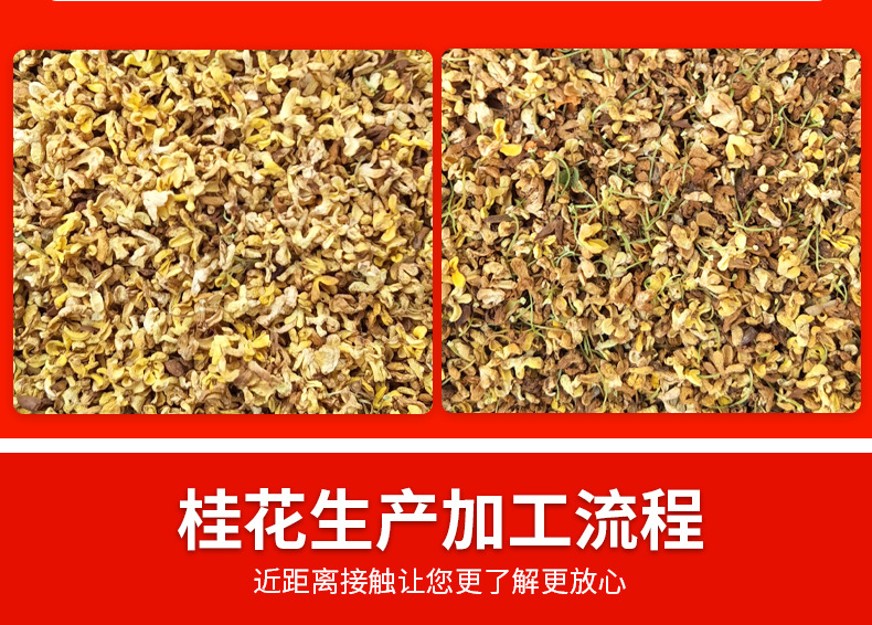 金粟桂花详情_11