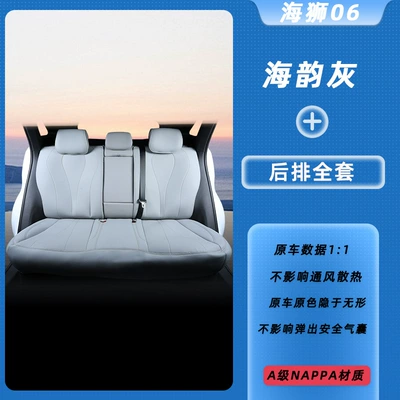 Covers, Ventilated Seat Covers Modification, Modelə uyğun (Original) oturacaq örtükləri - sea-rhyme-gray-complete-set-of-rear-seats-byd-hiace-06-new-energy-dmi