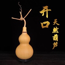 ��Ȼ����J�]�ڎ����^���J�[������T���T�_�����ѿ��ĺ��J���