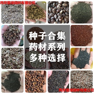 �������l��ș�ķN�ӱ�����șɽ�����ߴ�����șţ�������ǰ���N��