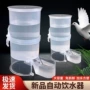 自动新款芦丁水杯饮水槽