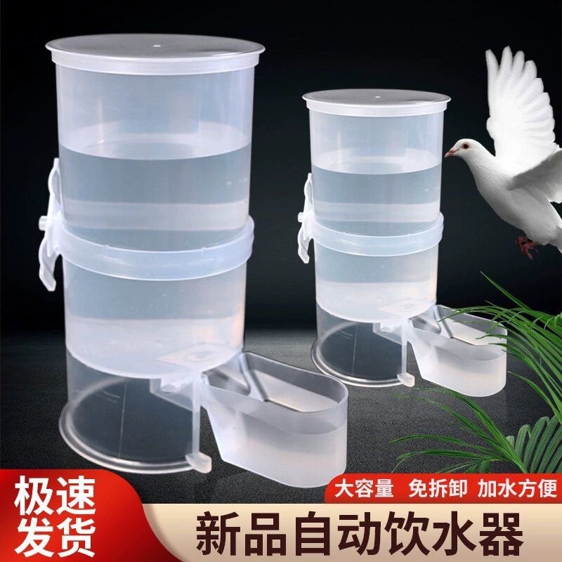 新款鸽子鸟用饮水器自动水壶鹦鹉喂水杯芦丁鸡饮水槽鸽子饮水器