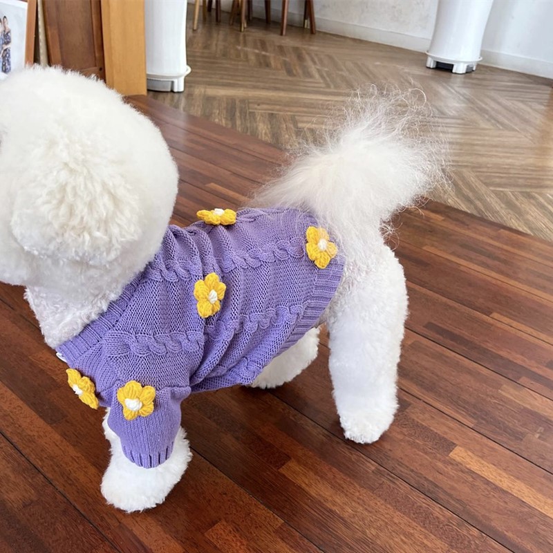 Jin Sanguis samme stil kat guld gradient efterårs- og vintertøj pullover varmt kæledyrstøj hundevest søde fotos