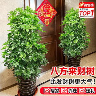 �˷���ؔ���_ľ�͏d����������ؔ�҃�����ȩ�Gֲ�lؔ�����~ɏֲ��