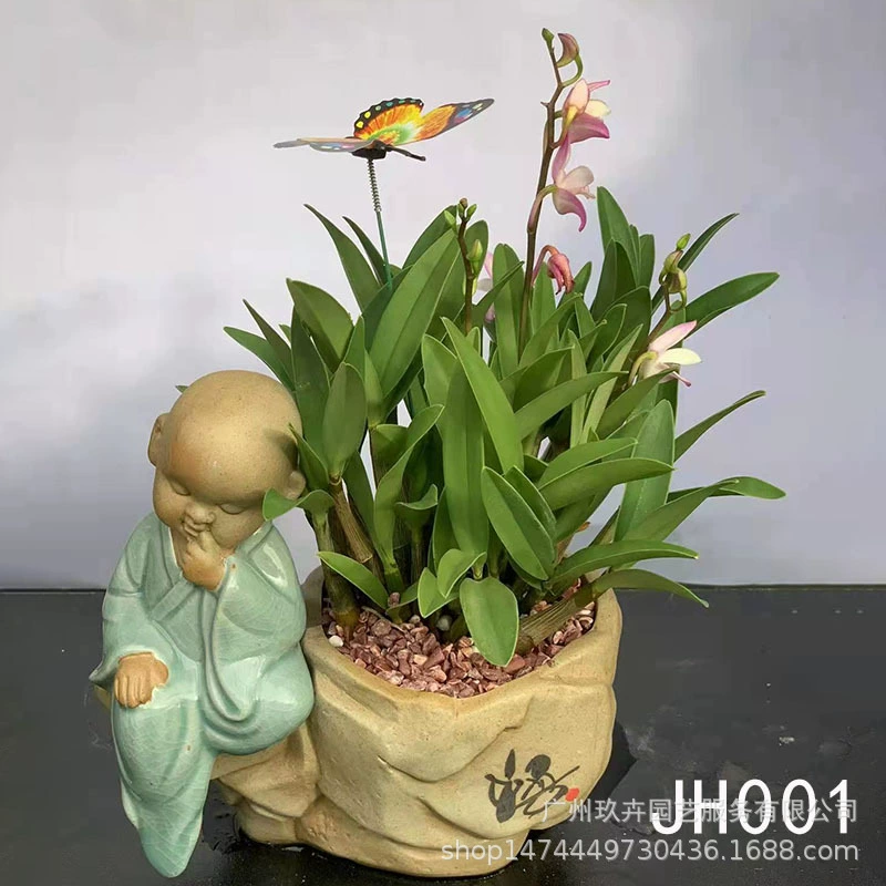 Самособирающийся бассейн небольшой бонсай гостиная балкон офис Рабочий стол хорошее выращивание Зеленая база для растений собственного производства JH01-JH05