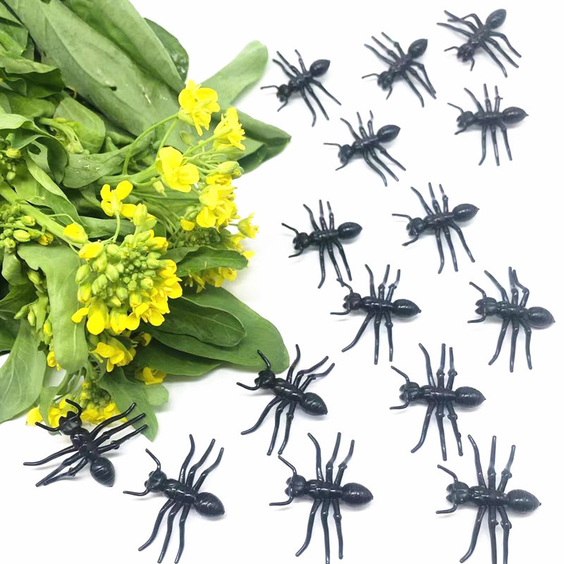 268e6875ff7e0dd999d18f5c25d50a