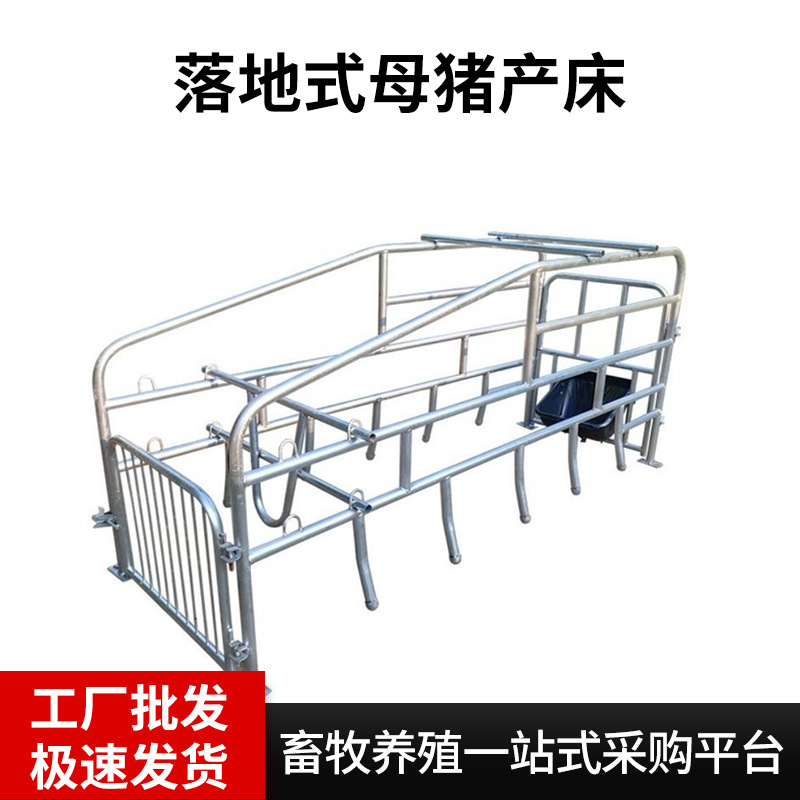 Los fabricantes venden al por mayor camas de producción de cerdas de pie y garantizan equipos para cerdos monómeros de pie de doble uso camas de parto de cerdas