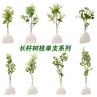���滨�Gֲ��֧���l�Ҿ����Ҵ��^���滨�k�������쾰�b�