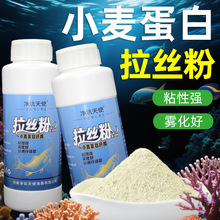 ���z��ƿ�b�~�D100Ŀ��Ԫ�����L�z���۠�B���D�Ϸ� ���׷�260g