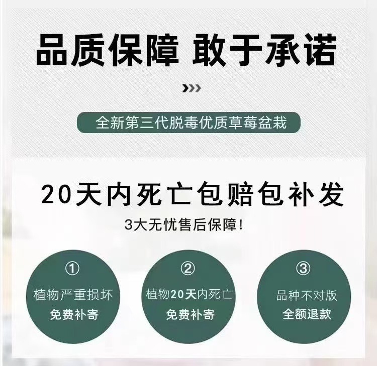 ab563bf4-0685-4ba0-8a72-eeb322b603ad.jpe