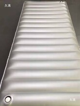 桑拿洗浴水床垫床宾馆家用恒温单双人充气充水两用多功能水床