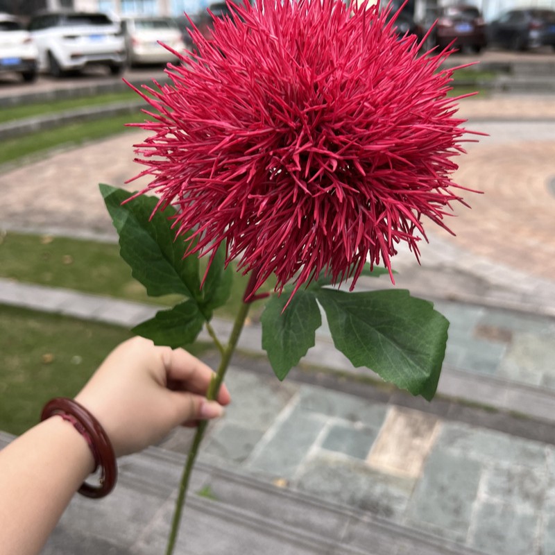 Bola colorida de la piel Rose Red