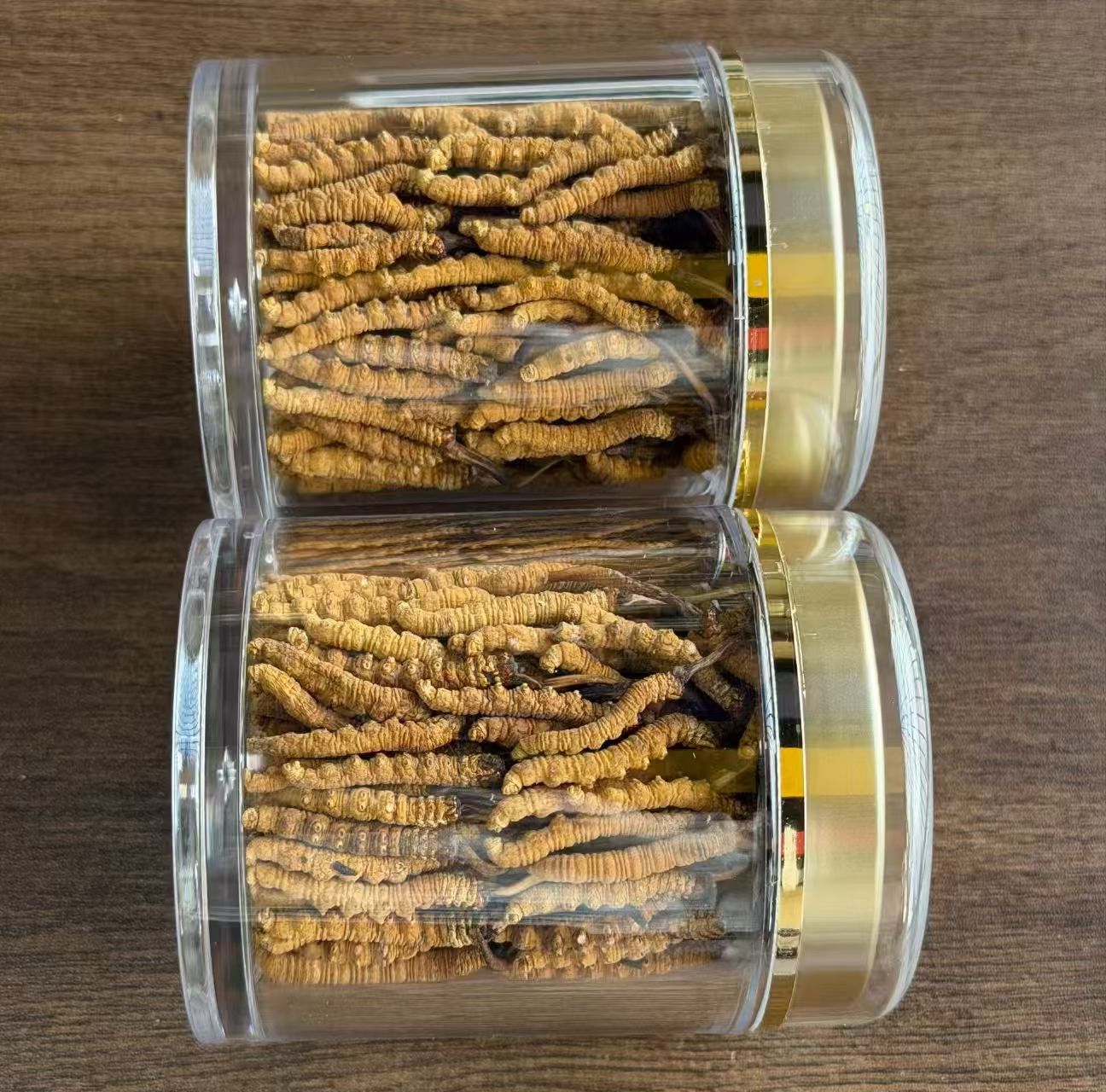 Freeze-Dried Cultivated Cordyceps Dong Chong Xia Cao 1g Pack 3-4 Pieces Culinary Herbal Tonic quality and texture