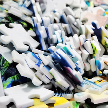 �g���_��С�ľ�|ƴ�D�� �Ƴ���1000Ƭľ�|��ͯ���������������