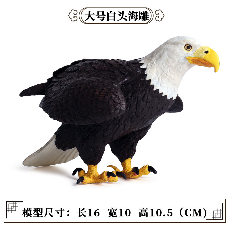 909 Large Bald Eagle【0.257KG】