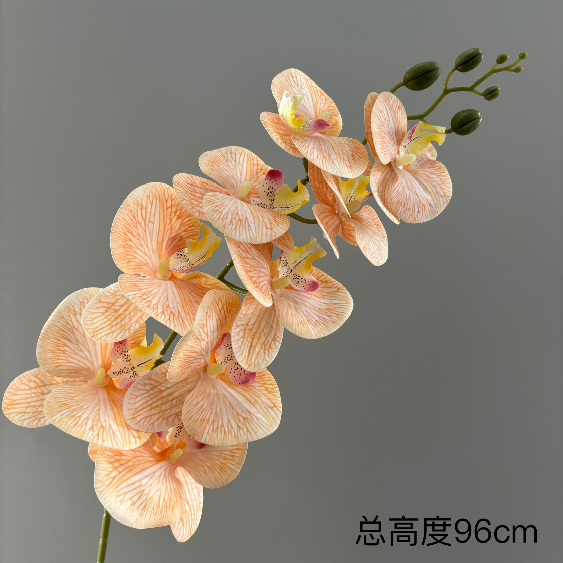 3D 프린팅된 9머리 호접란