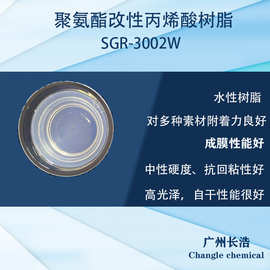 水性聚氨酯改性丙烯酸树脂SGR-3002W