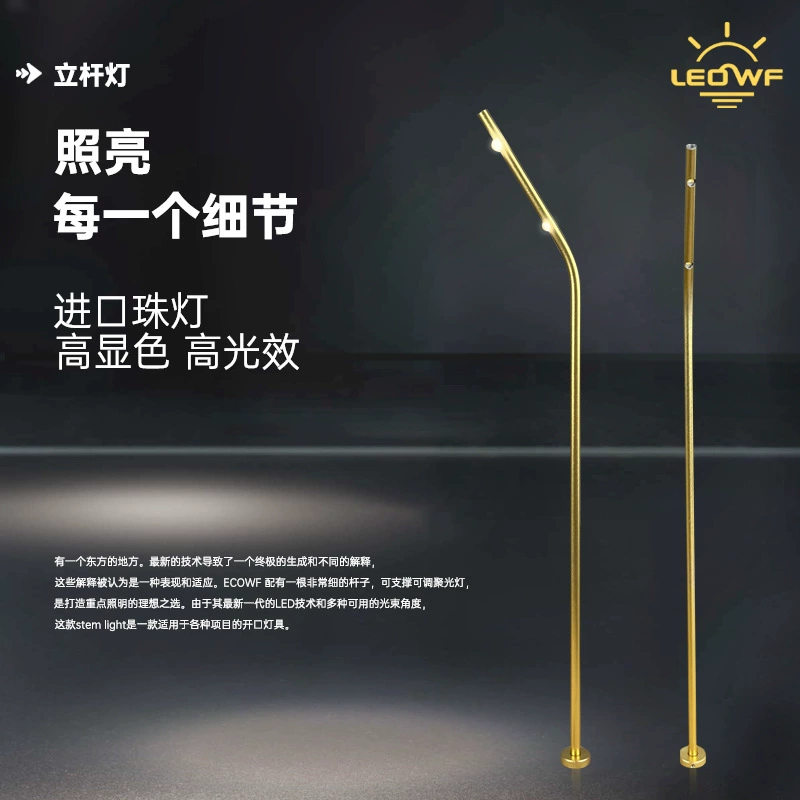 Вертикальный светильник для демонстрации ювелирных украшений, часов, очков, косметики, музейный шкаф, ручная работа, небольшой точечный светильник в стиле лёгкой роскоши