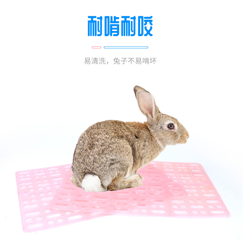 Rabbit Healthy Comfort Foot Mat Anti-Biting Guinea Pig Pet Dutch Rabbit Anti-Getting Stuck Cage Mat Bottom Net Manure-Proof Supply