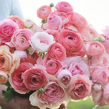 25��F؛�����M�ڻ�ëݢ�N����ĵ������N���̨�޸����ܾG�@���_