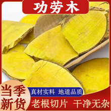 功劳木中药材广西深山功劳木根切片干货土黄柏土黄连根黄藤刺黄柏