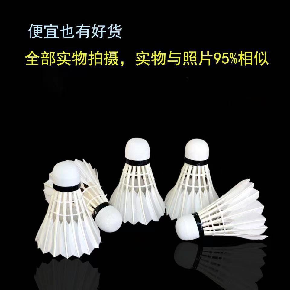 6913923f-6c68-48ba-bcaf-e16d1a6996c3.jpe