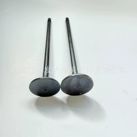 气门及部件;发动机总成;气门部件