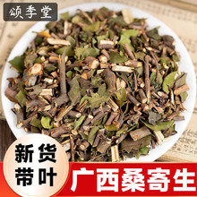 中药材精选带叶新货广寄生桑寄生茶桑树桑寄生桑寄生粉寄生中草药