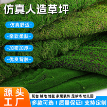 ������ɫ̦޺��ƺ��Ƥʯ�辰�쾰װ�β���ֲ��ǽ�����ƺ����װ��