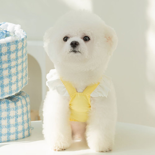 Spring and summer dog cute princess style cake big bow dress cat feet skirt pet dog clothes