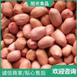 现货供应白沙花生米 山东五谷杂粮粗粮生花生 散装批发花生