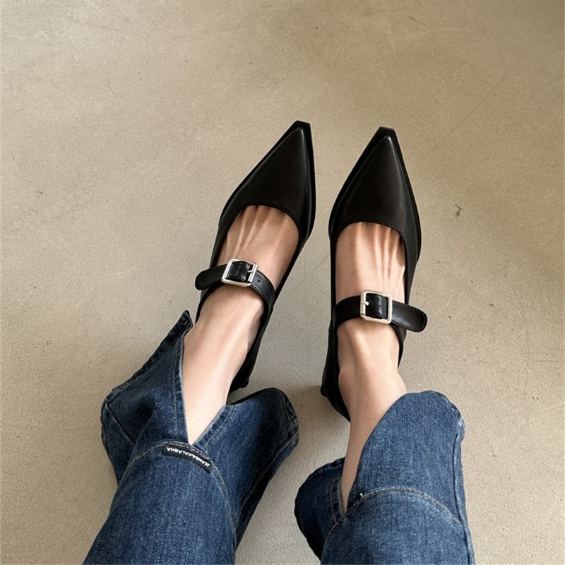French-style Pointed-toe High-heeled Shoes, New Autumn 2025 Collection, Elegant And Versatile, Retro Low-heel Chunky_vogvips.com