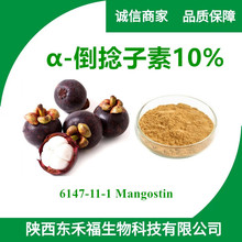 α-倒捻子素10% 6147-11-1 Mangostin 山竹果粉山竹提取物1kg起售