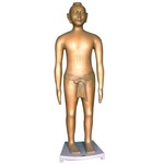 中为医疗 166CM 仿古针灸铜人