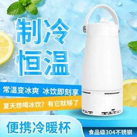 电陶炉;电饭煲/锅;养生壶