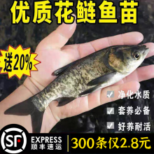 �����~�絭ˮ�Bֳʳ�û��~���^�ش����I���~��ˮ�^�p���^�~��